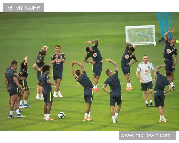 犀牛足球建模技术在现代足球战术分析与训练中的应用探索